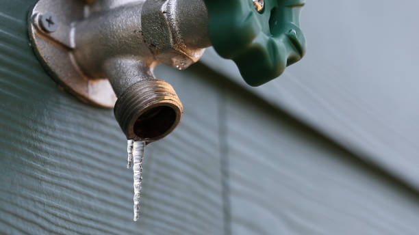 Best Clogged Drain Plumber  in Wayne City, IL