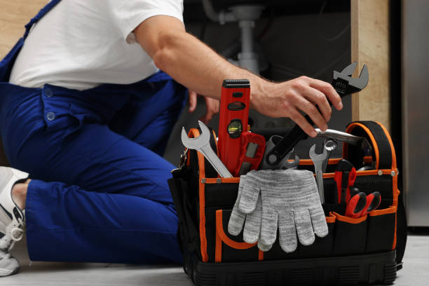 Best Local Plumber Services  in Wayne City, IL