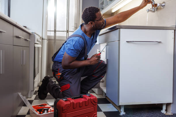 Best Sewer Cleaning Services  in Wayne City, IL